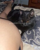 Анкета проститутки Зита - метро Южное Бутово, возраст - 25